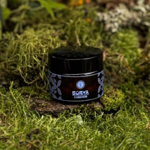 CONEXIÓN (Melena de león + Niacina vitaminaB3 + Psilo)