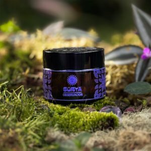 OBSERVACIÓN (Reishi + Psilo)